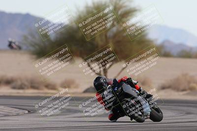 media/Nov-30-2025-TrackXperience (Sun) [[c0061d280f]]/2-Level 2/Session 6 Turn 4 Tree of Life/